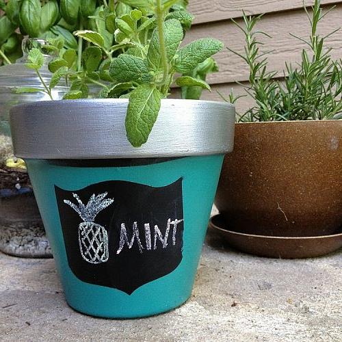 diy painted terra cotta planters, chalkboard paint, crafts, gardening, painting, All done Pineapple mint D