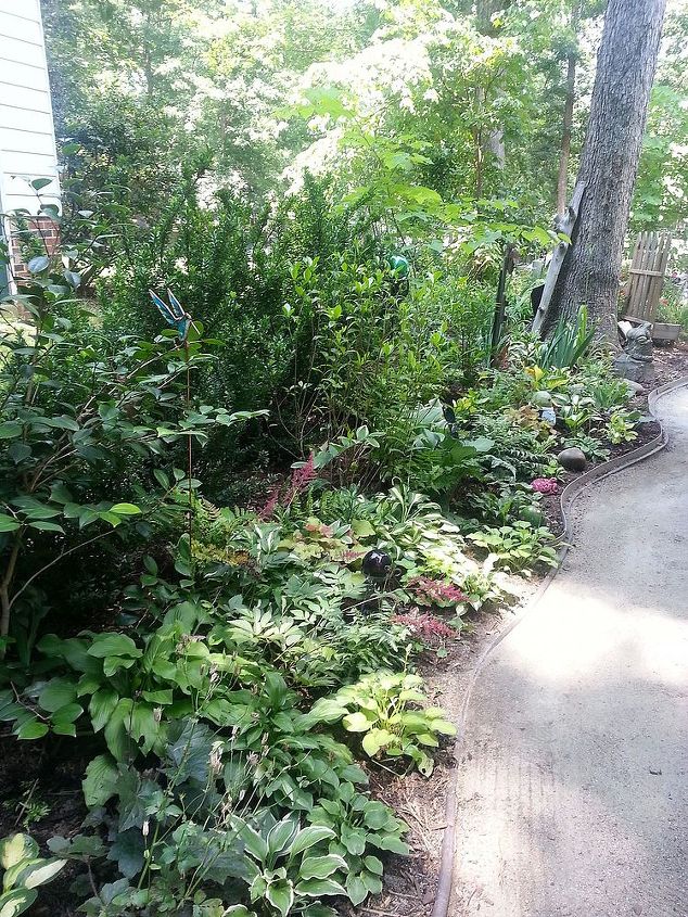 side yard beauty, gardening, landscape, Different view from back to front