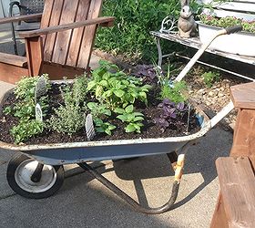 gardening in repurposed planters, gardening, repurposing upcycling, My herb garden planted in a wheelbarrow