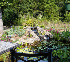 garden pond, outdoor living, ponds water features, porches, 11x16 Garden Pond with waterfall and 5 small goldfish with babies