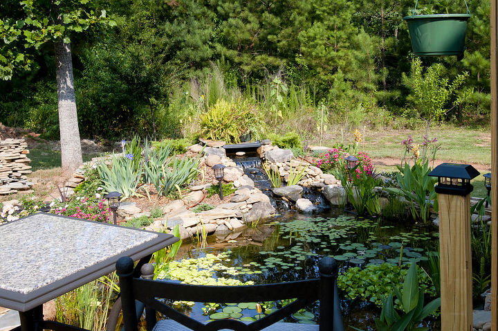 garden pond, outdoor living, ponds water features, porches, 11x16 Garden Pond with waterfall and 5 small goldfish with babies
