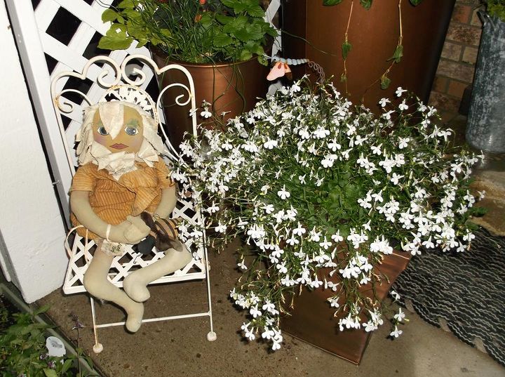my front porch, curb appeal, porches, This is my Daisy she is the keeper of my flowers She comes out right after the plants are in