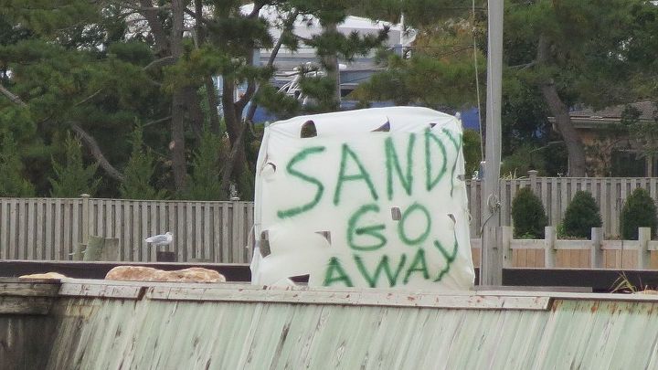 one year after sandy, gardening, Sandy didn t listen