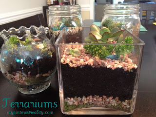 terrarium s, flowers, gardening, succulents, terrarium, After you re done you can add accessories I ended up adding another blanket of moss and some colored glass rocks
