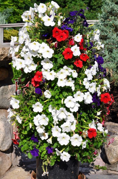 diy flower tower, flowers, gardening