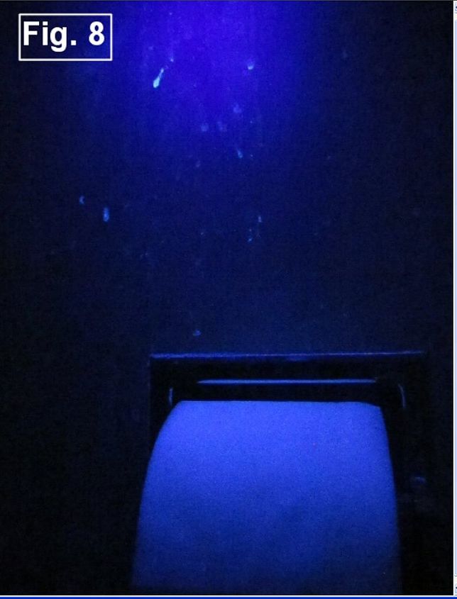 bathrooms why routinely disinfect the walls