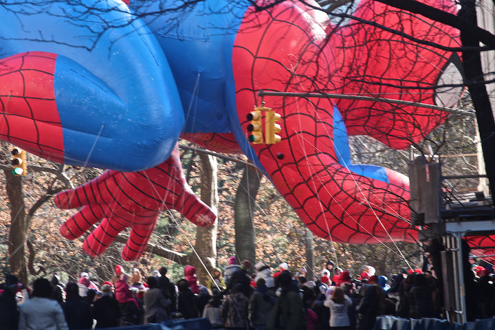 the day after thanksgiving, seasonal holiday d cor, thanksgiving decorations, Spiderman View Four