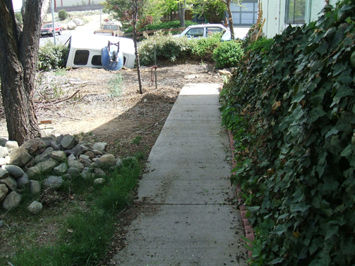 the yard at my house was a shambles when i moved in it became my project over the, gardening, landscape, outdoor living, Looking back down towards the street Very dark