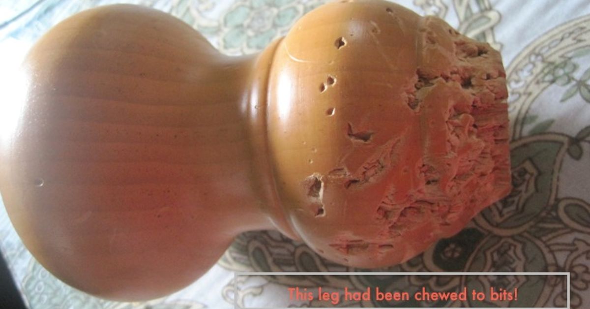 Best Wood Glue For Antique Furniture Repair - Wood Glue For Furniture Repair