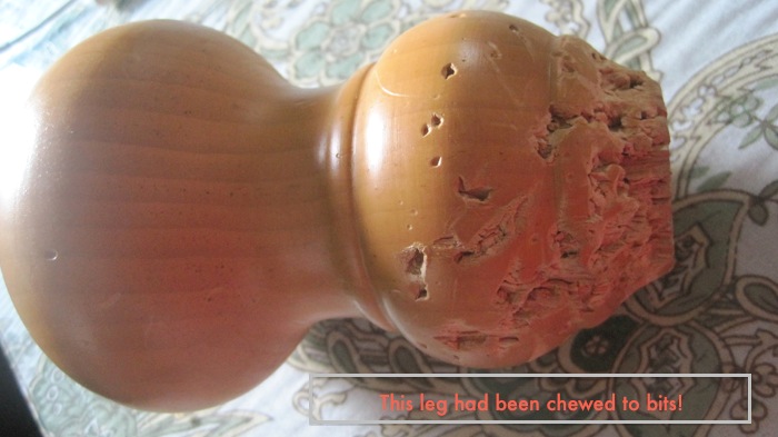 el perro masticó la pierna de muebles de madera desesperación y reparación, productos