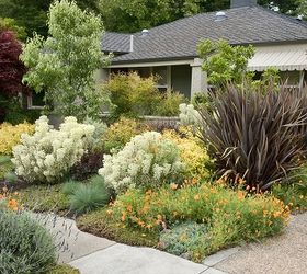 an introduction to xeriscaping, gardening, landscape
