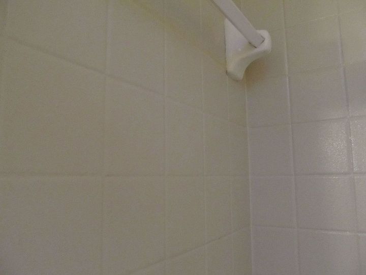 painted tiles in the shower, painting, tiling, close up of tiles can t see too well