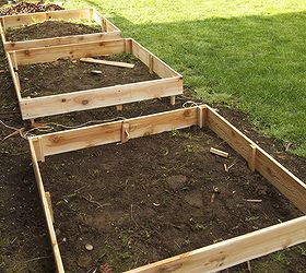 do you have to know what you re doing to plant a vegetable garden, diy renovations projects, gardening, After tearing out the hedges we built some planter boxes