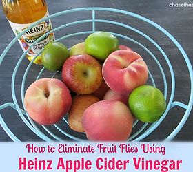 how to eliminate fruit flies for good, crafts, go green, pest control, We used Heinz Apple Cider Vinegar to get rid of FruitFlies