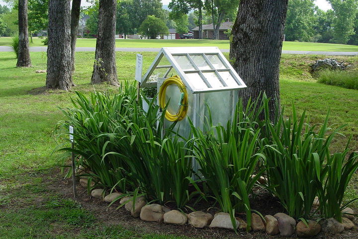 discovered this plant in my louisiana iris bed, gardening, We made this little window house from found windows on our street