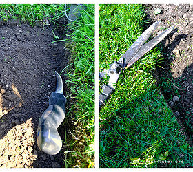 how to edge flower beds like a pro, flowers, gardening, Once the cut is made trench out the soil with a hand held garden shovel and mound it away from the edge Trim the grass along the edge horizontally and vertically to get that nice crisp haircut look