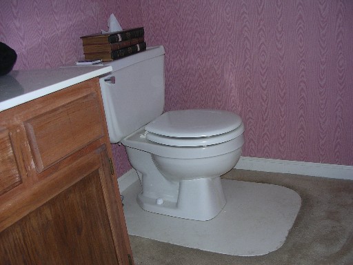 my favorite room in the house, bathroom ideas, flooring, home decor, painting, plumbing, Carpet on the floor Yuck