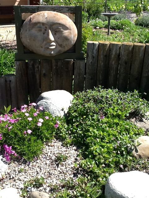 gardening in gravel, gardening, Mr Moon Face looks over the garden at Sensible Gardening and Living