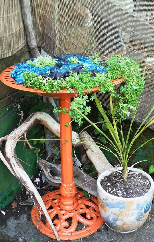 repurposed birdbath, gardening, repurposing upcycling