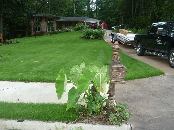 new to site and adding pictures on pc bare w me and i will show you my gardens and, gardening, zoysia sod pride and joy
