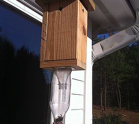 carpenter bee trap, outdoor living, pest control, woodworking projects