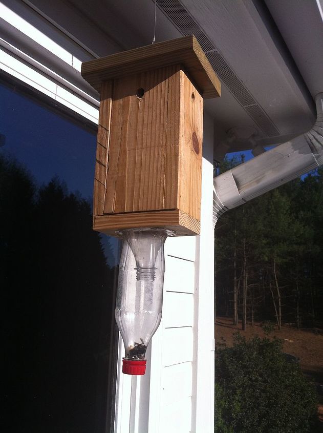 carpenter bee trap, outdoor living, pest control, woodworking projects