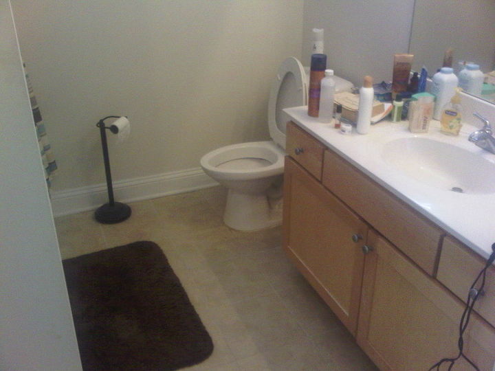 makeover master bathroom, Before Picture