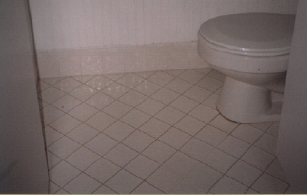 tile amp grout cleaning, cleaning tips, home maintenance repairs, tiling, Before cleaning