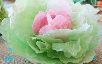 Coffee Filter Cabbages