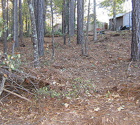 wooded slope needs attention, landscape, Looking up the slope toward storage room to the right of the swings