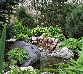 a natural pond setting located on a busy residential street in south elgin illinois, ponds water features