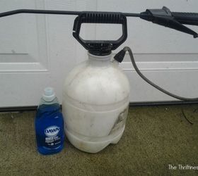 how to get rid of boxelder bugs without harmful chemicals, pest control, All you need to get rid of them is a handheld pump sprayer and some Dawn dish soap 1 tablespoon to 1 gallon of water Spray spray spray
