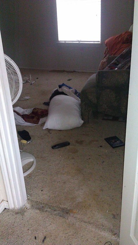 casa en venta, La alfombra est destruida por los gatos que estaban encerrados en la casa