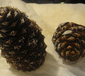 how to bleach your pinecones for an unusual beautiful effect, christmas decorations, crafts, decoupage, seasonal holiday decor
