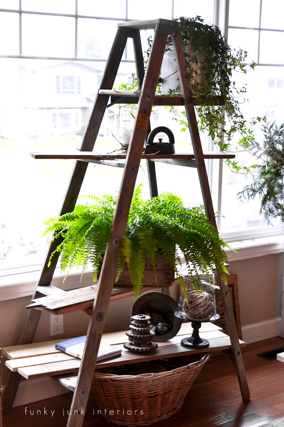 24 wow ideas from just a ladder, repurposing upcycling, A plant stand is created effortlessly with this ladder allowing the sunlight to shine right on through
