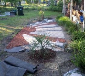 my landscaping adventure, landscape, outdoor living, planted a palm which is growing really nice