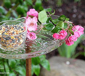 Tea Time For The Birds Hometalk