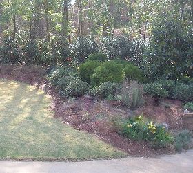 here s an example of how we used perennials to add color and interest to this small, flowers, gardening, landscape, perennial, Boring front yard Before Photo