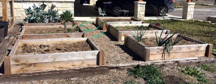 gardening in container boxes and lessons learned, container gardening, gardening, raised garden beds, Original Boxes