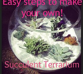 diy succulent terrarium, flowers, gardening, succulents, terrarium