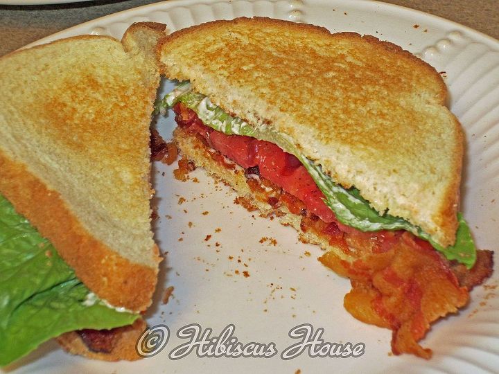 have you ever seen baby chimney sweeps how about nutsedge, gardening, Ok so I had to add bacon to my tomato sandwich it was so good