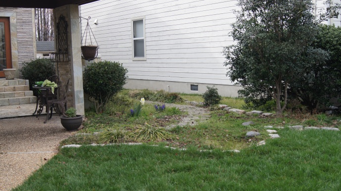 reforma do quintal, Este o nosso jardim da frente antes Isso fica direita da casa a nica rea que n o era apenas grama