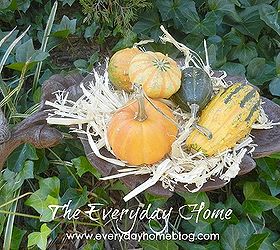 bird bath pulls double duty as a fall decor container in front yard, crafts, outdoor living