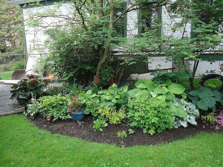 this is my next project how to make this prettier, gardening, landscape, The plants have really grown since the last photo was taken but we still havent finished this project