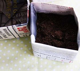 how to start seeds in newspaper pots, gardening