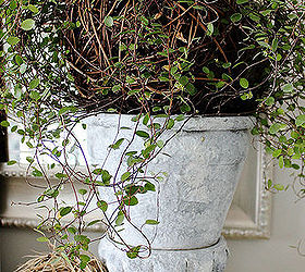 outdoor inspired spring mantel, fireplaces mantels, seasonal holiday d cor, Wire vine topiary
