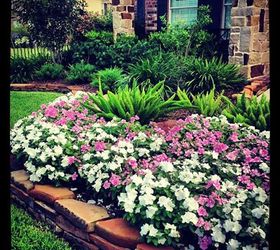 curb appeal curbappeal, flowers, gardening, Our front flower beds vincas