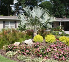 new pictures, curb appeal, gardening, landscape, Firecracker plants back left attract sulfer butterflies all summer and fall