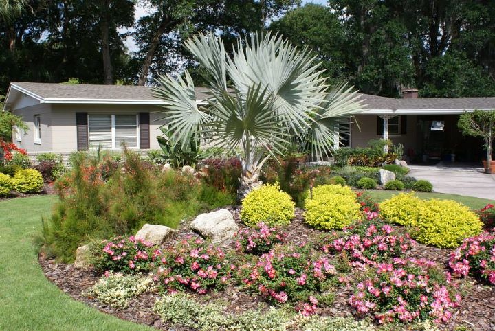 new pictures, curb appeal, gardening, landscape, Firecracker plants back left attract sulfer butterflies all summer and fall