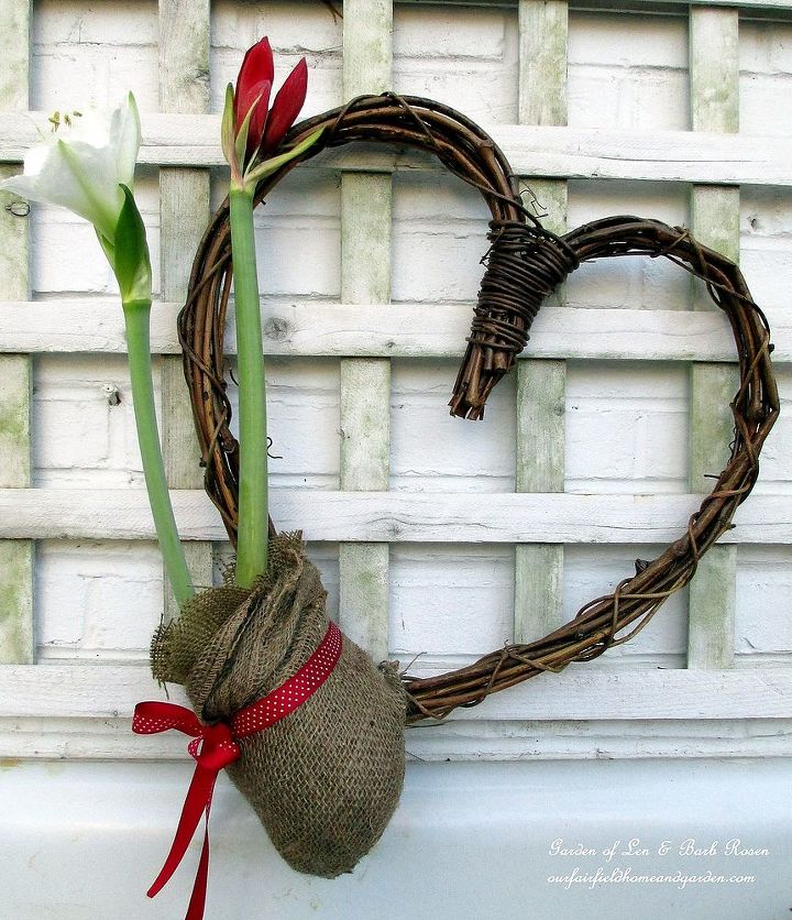 amaryllis heart wreath, crafts, valentines day ideas, wreaths, Amaryllis Heart Wreath